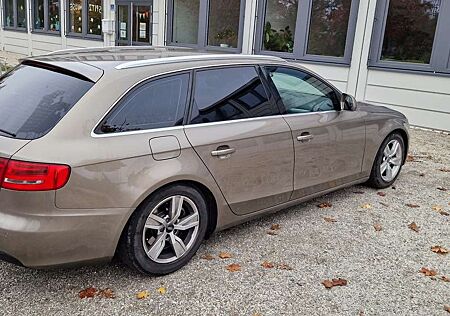 Audi A4 Avant 2.0 TDI DPF - tiefergelegt