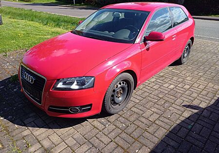 Audi A3 1.6 TDI DPF Ambition