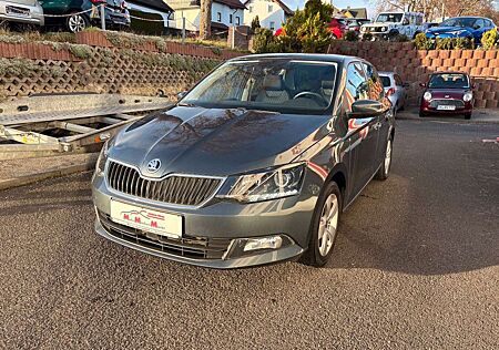 Skoda Fabia Style+Winterräer