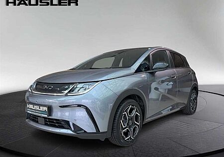 BYD DOLPHIN DESIGN Glasdach 360°Kamera Leder