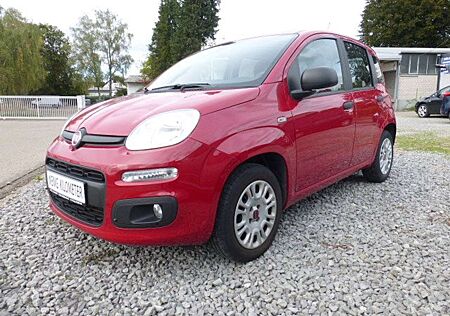 Fiat Panda Easy / Aus 1. Hand / 51000 Km. / Klima / BFA / PDC