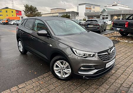 Opel Grandland X Edition 1.2 (130PS) RFK, SHZ, LHZ