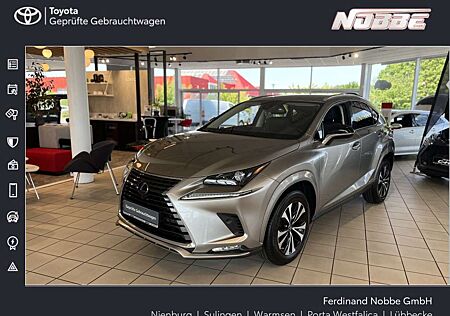 Lexus NX 300 300h Style Edition