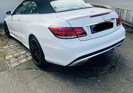 Mercedes-Benz E 250 BlueTec / d (207.404)