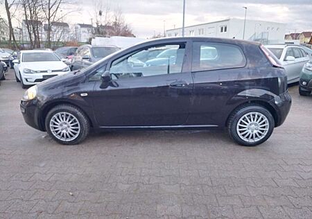 Fiat Punto EVO Active+TÜV/AU 02/2026 +KLIMA