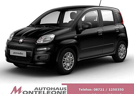 Fiat Panda MY25 Pandina ICON Hybrid | PDC | 5 Sitze