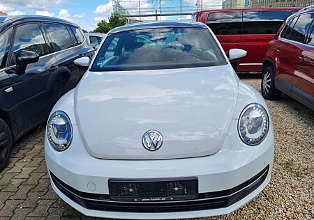 VW Beetle Volkswagen Cup