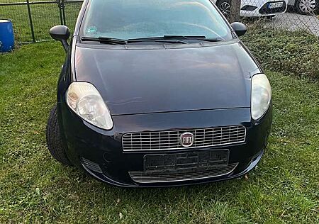 Fiat Punto 8-Fach-bereift