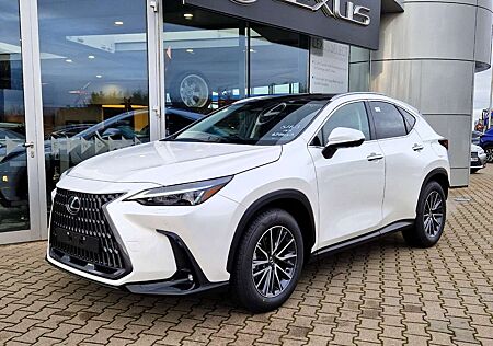 Lexus NX 350h Executive Line Technik + Interieur Paket