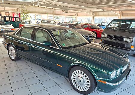 Jaguar XJR XJ8 Super V8 in bester britischer Farbgebung