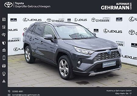 Toyota RAV 4 2.5 4x2 Hybrid Team Deutschland