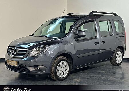 Mercedes-Benz Citan Kombi 111 CDI Lang Tourer Edit. KAMERA+PDC