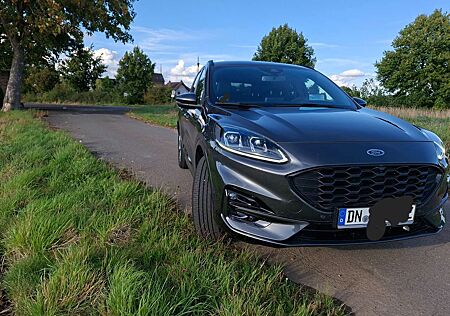 Ford Kuga 2.5 Duratec FHEV ST-LINE viele Extras