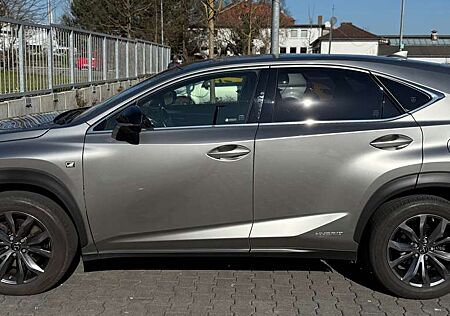 Lexus NX 300 NX 300h NX 300h E-FOUR F SPORT,Head-up displei.