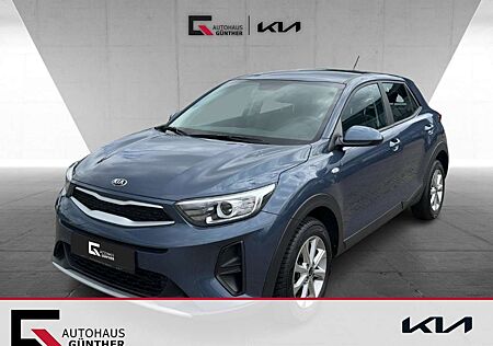 Kia Stonic Edition 7 EU6d-T 1.2 SitzHzg. DAB