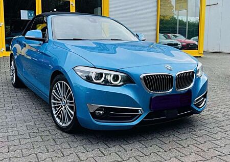 BMW 218 Cabrio Aut. Luxury Line/Leder/Prof Navi