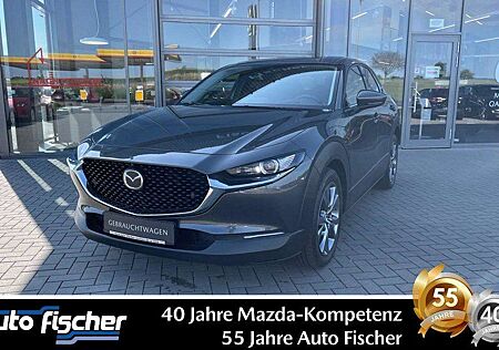 Mazda CX-30 2.0 (186PS) AWD Schalter Selection DES-P P