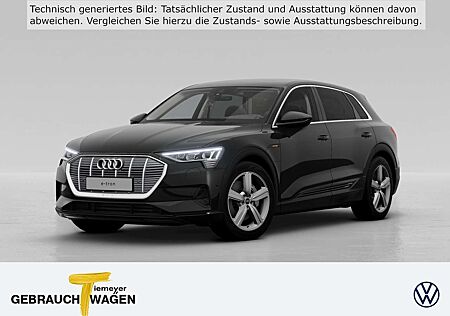 Audi e-tron 55 Q LED VIRTUAL NAVI KAMERA LM20 AHK