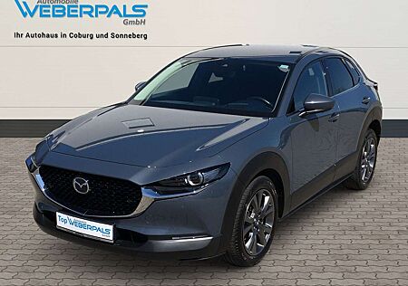 Mazda CX-30 Selection AWD-1.HAND-360°KAMERA-NAVI-MATRIX-LED