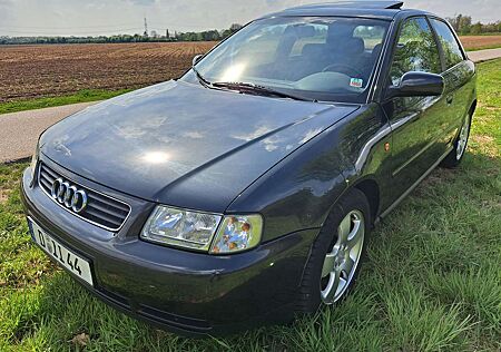 Audi A3 1.6 Attraction