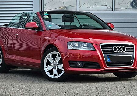 Audi A3 Cabriolet Ambition Klima 1te Hd