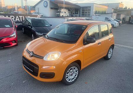 Fiat Panda Lounge/dt.Modell