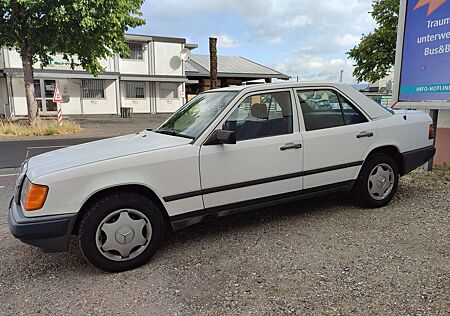 Mercedes-Benz 250 D Automatik, H-Kennz.