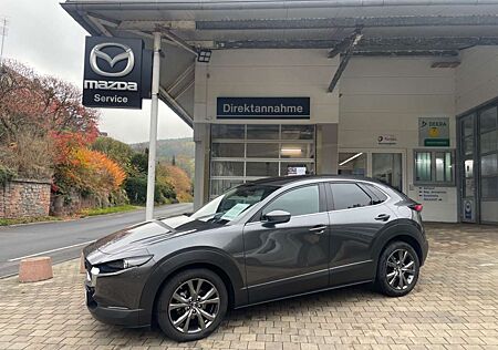 Mazda CX-30 Selektion X 2,0 186 M-Hybrid Automatik