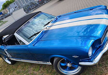 Ford Mustang Cabrio V8 289cui