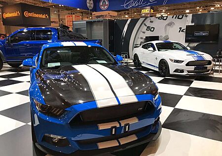 Shelby Others GTE