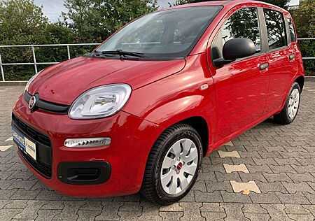 Fiat Panda /Pandina 1.2 Lounge