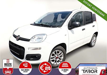 Fiat Panda 1.2 8V 70 More Klimaanlage PDC UCon LM14Z