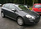 Fiat Punto Young