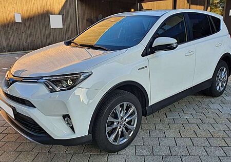 Toyota RAV 4 2.5 4x4 Hybrid Executive 360 Kamera JBL