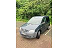 VW Caddy Volkswagen Life Gewinner