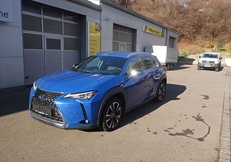 Lexus UX 250h Style Edition
