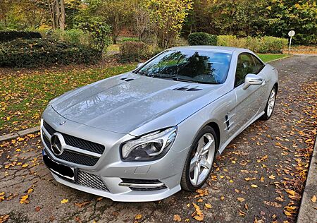 Mercedes-Benz SL 500 gebraucht kaufen Mercedes-Benz SL 500 Edition 1