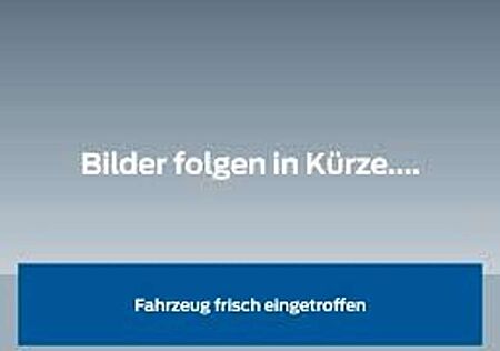 Citroen Berlingo Shine XL EAT 8, AHK, RFK, 5 Sitzer