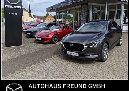 Mazda CX-30 gebraucht kaufen Mazda CX-30 2.0L e-SKYACTIV X 186PS 6AT FWD Exclusive-line