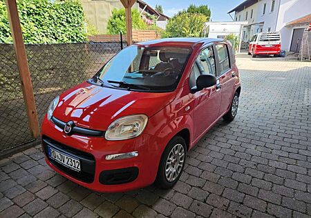 Fiat Panda /Pandina 1.2 Easy