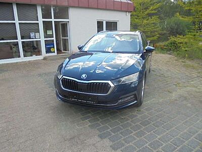 Skoda Octavia Style LED Matrix-RFK-Ambientelicht-NAVI