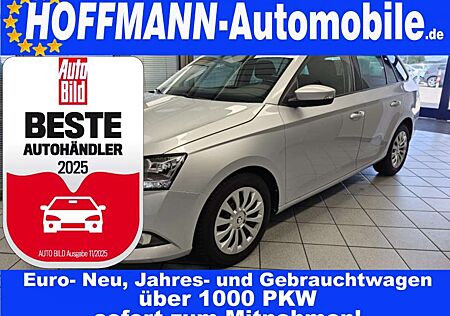 Skoda Fabia Ambition Navi,Sitzheizung,PDC