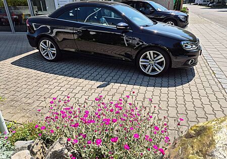 VW Eos Volkswagen Sport *Leder-Klima-DSG