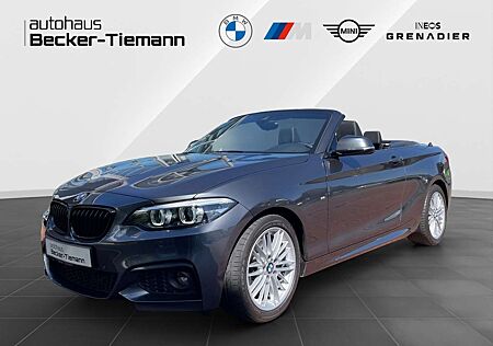 BMW 220 i Cabrio MPaket | HarmanK. | DAB | PDC | Klima | N
