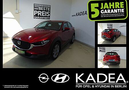 Mazda CX-30 2.0 ACC+LED+Navi+Sitzhzg+360+Kamera,Carplay
