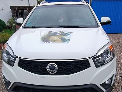 SsangYong Korando Korando 2.0 Eco e-XDi DPF 4WD Sapphire