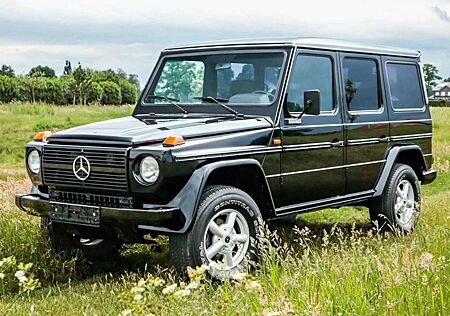 Mercedes-Benz G 250 GD 250 W 460.3~Schwarz