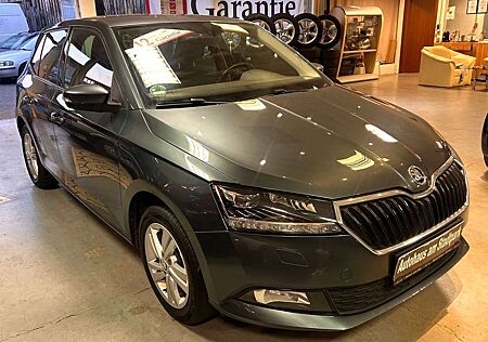 Skoda Fabia Style-LED-Xenon-PDC-Kamera-Garantie
