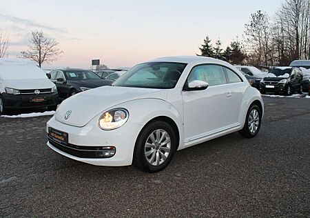 VW Beetle Volkswagen 1.2 TSI KLIMA PDC TÜV & SERVICE NEU