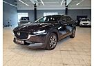 Mazda CX-3 0 Edition 100 Navi Kamera Leder Head-UP Bose